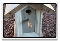 reclaimed barnwood birdhouse